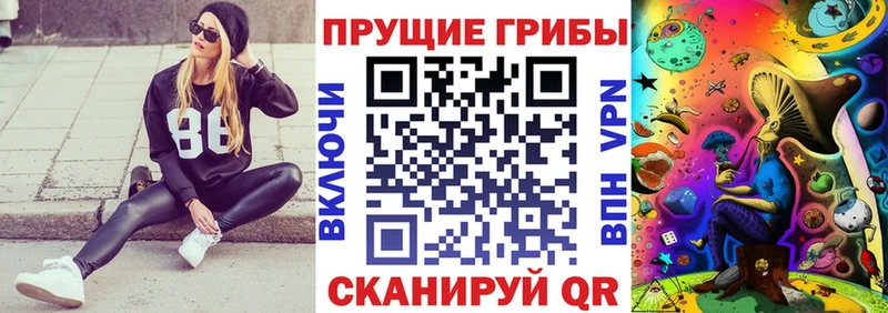 хочу наркоту блэк спрут ТОР Псилоцибиновые грибы ЛСД Юхнов
